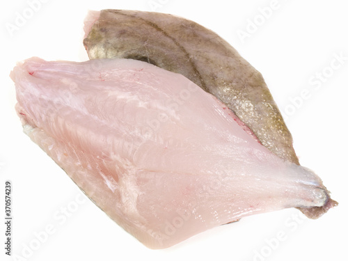 St. Pierre Fish Fillet raw on white Background - Isolated photo