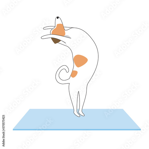 Jack russell terrier character or dog doing yoga isolated on white background, outline and flat vector stock illustration as asana, yoga, prayer concept
