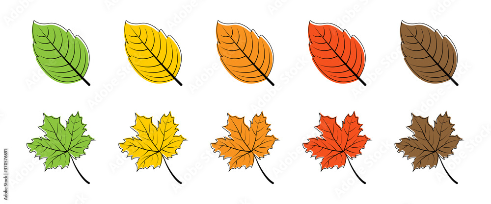 Leaves. Season leaf. Leaves different color, isolated. Leaf vector icons. Vector illustration