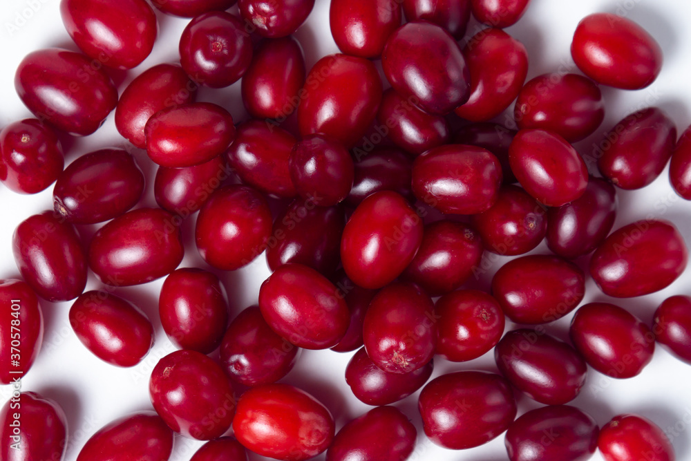 Dogwood on a white background. Fresh red dogwood lies in a small heap. Gathering the summer harvest. Dogwood on a white background. Fresh red dogwood lies in a small heap. Gathering the summer harvest.