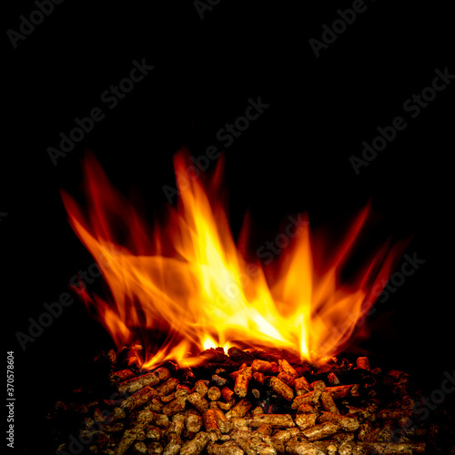 wood pellets burning with flames on black.