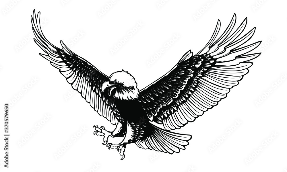Fototapeta premium Eagle emblem isolated on white vector illustration. World symbol of freedom. Retro color logo of falcon. Eagle detailed logo.