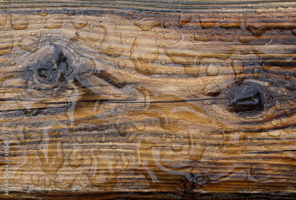 water drops on a wooden surface.