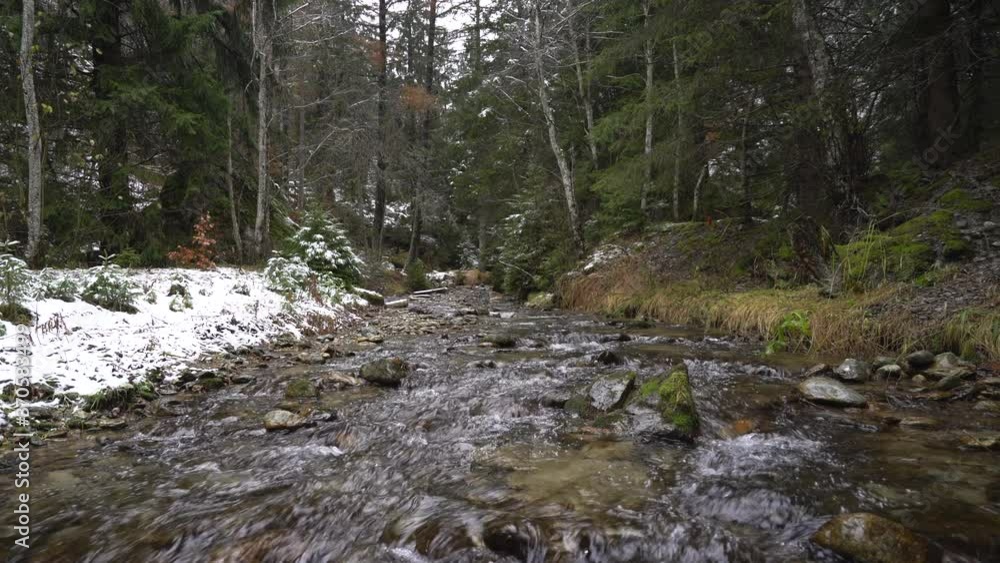 Waldbach in winter in the deep forest in Switzerland. Winter in the nature Waldbach in winter in the deep forest in Switzerland. Winter in the nature