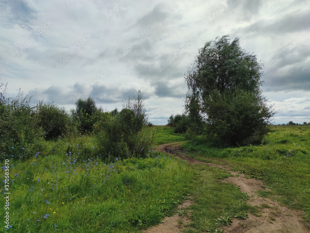 winding road in a green field with trees on the background of a cloudy sky in windy weather winding road in a green field with trees on the background of a cloudy sky in windy weather