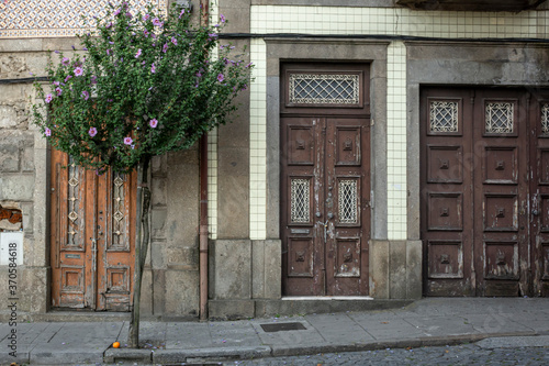 Weathered Ornate Wooden Doors Along Sidewalk With Hibiscus Tree  Braga  Portugal