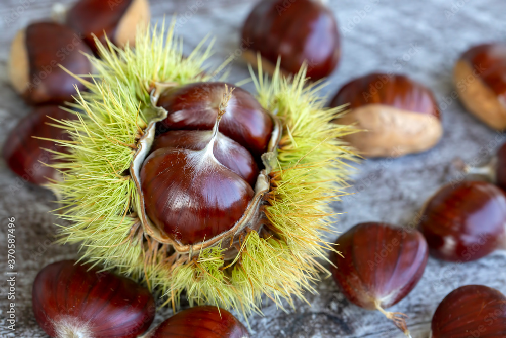 Chestnuts on a wooden background. Chestnuts top view. Chestnut autumn background. Chestnuts on a wooden background. Chestnuts top view. Chestnut autumn background.