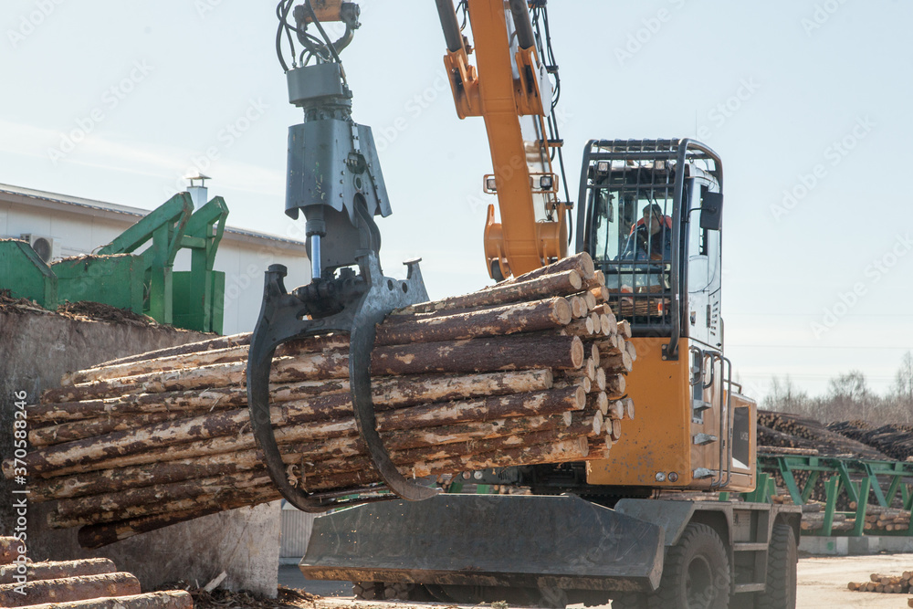 Fototapeta premium Claw of an industrial loader of logs at a sawmill