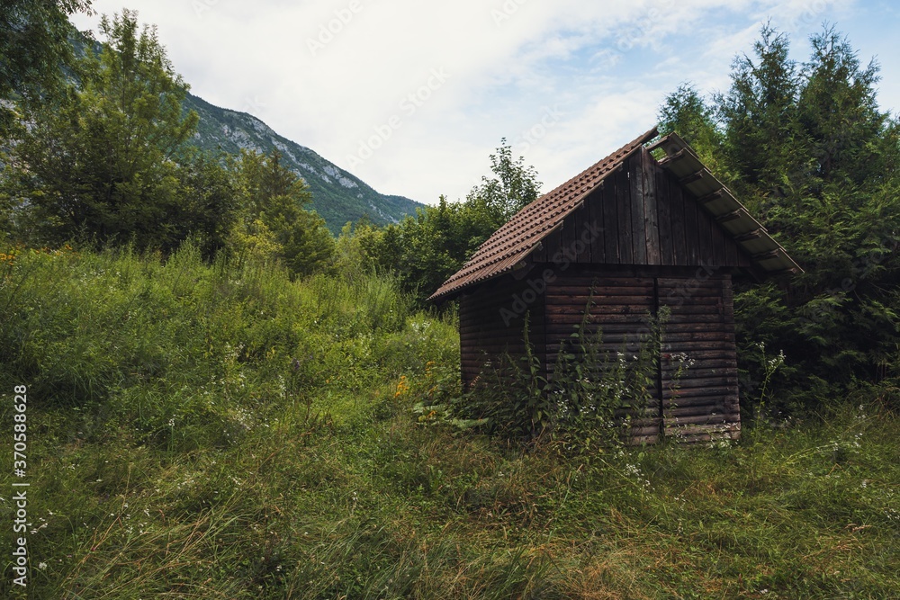 Old, wooden, overgrown and abandoned house in the middle of alpine forests of Bohinj, Slovenia.  