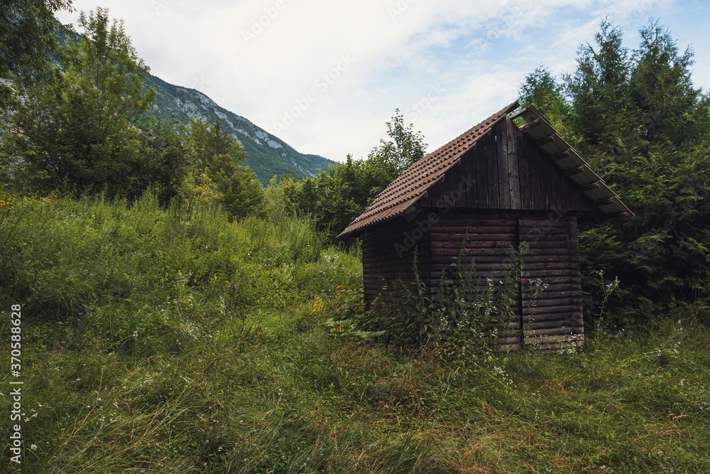 Old, wooden, overgrown and abandoned house in the middle of alpine forests of Bohinj, Slovenia. Old, wooden, overgrown and abandoned house in the middle of alpine forests of Bohinj, Slovenia.