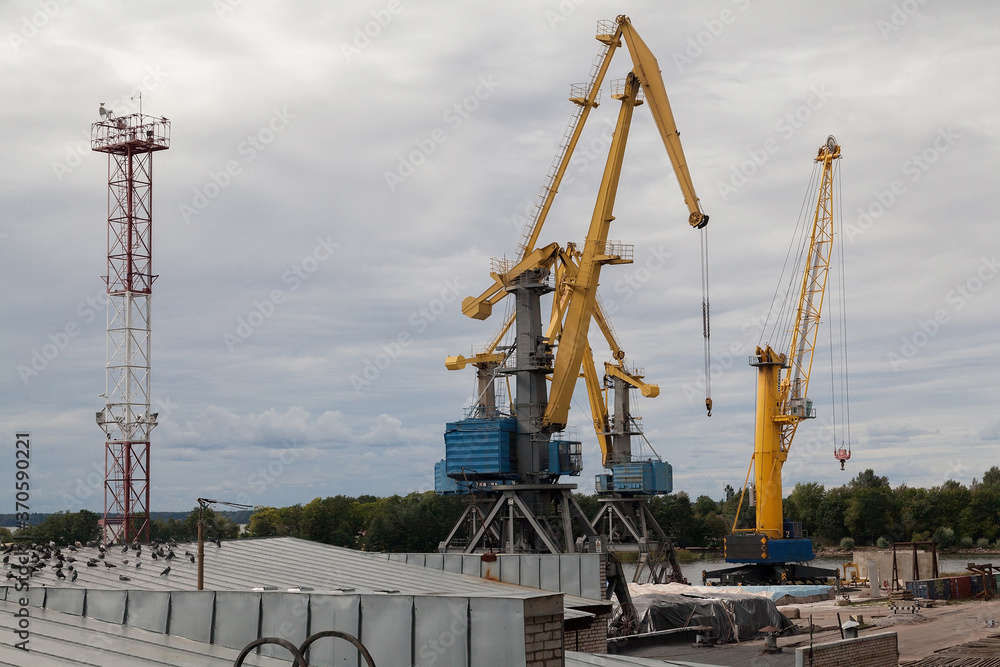 Yellow industrial cranes in sea port