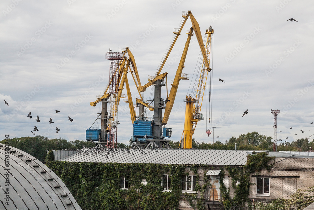 Yellow industrial cranes in sea port