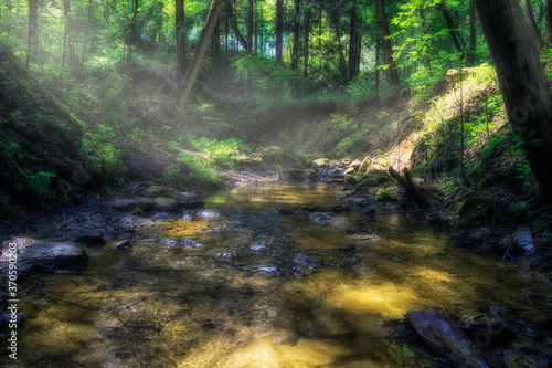 Fototapeta Naklejka Na Ścianę i Meble -  
a stream in the forest in a fairy-tale style