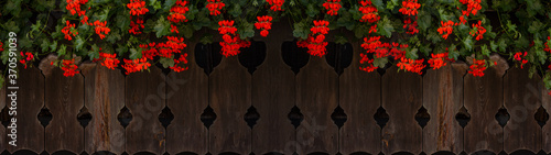 Red hanging geraniums ( Pelargonien ) on rustic brown old balcony railing made of wood in Alpenland Bavaria Black Forest optics, with rhombus wood carving