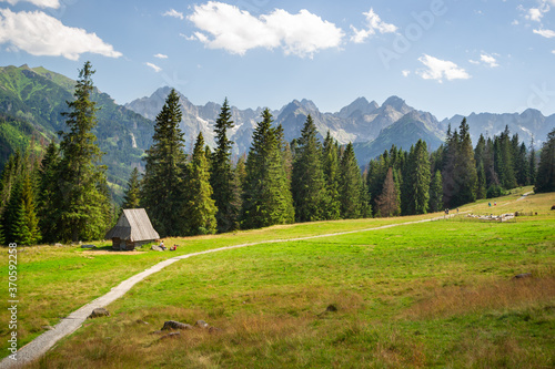 Fototapeta Szałas pasterski w górach. Rusinowa Polana w Tatrach