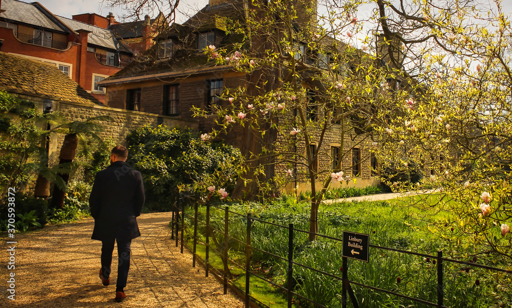 Gentleman in a black coat, walking through the park. Gentleman in a black coat, walking through the park.