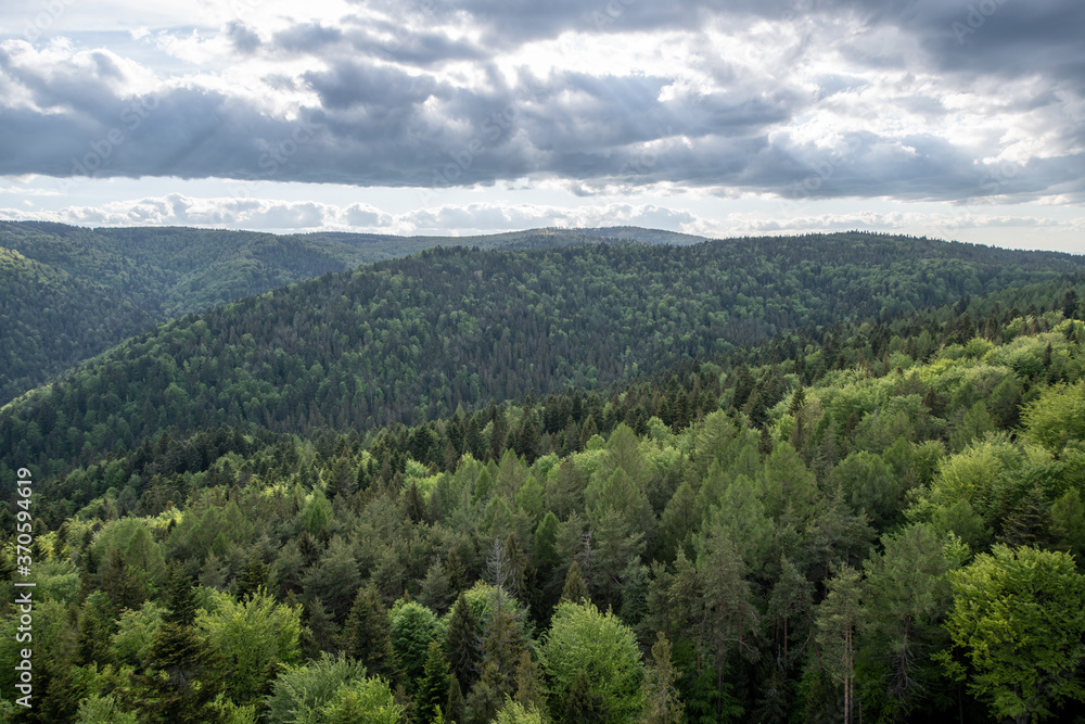 Green hills of Krynica-Zdrój in Spring