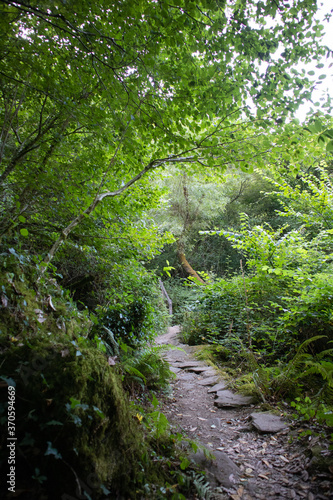 Caminos por la naturaleza