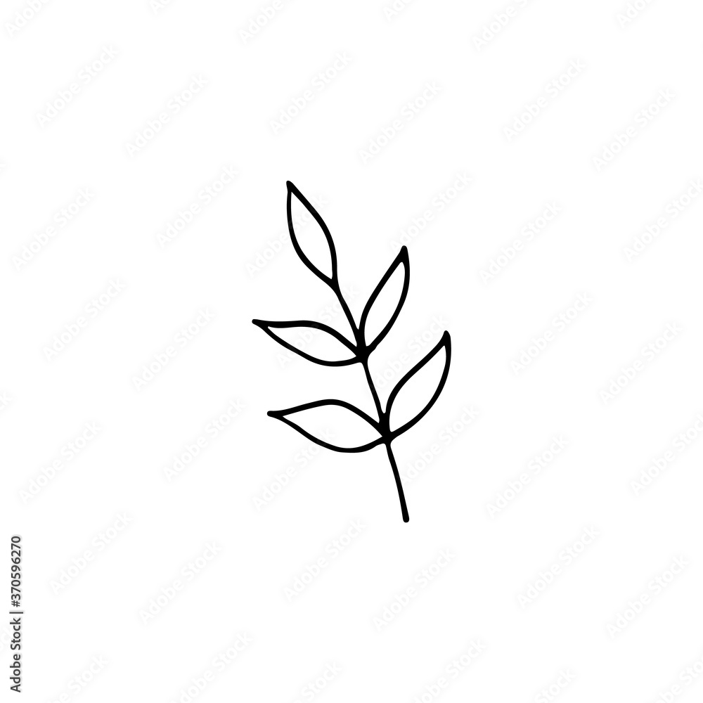 Hand-drawn plant. Doodle image of a flower. Floral vector for web, textiles, postcards, prints. Abstract plants, leaves, flowers.
Hand-drawn plant. Doodle image of a flower. Floral vector for web, textiles, postcards, prints. Abstract plants, leaves, flowers.