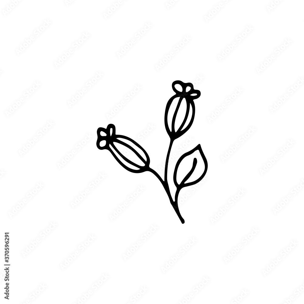 Obraz premium Hand-drawn plant. Doodle image of a flower. Floral vector for web, textiles, postcards, prints. Abstract plants, leaves, flowers.