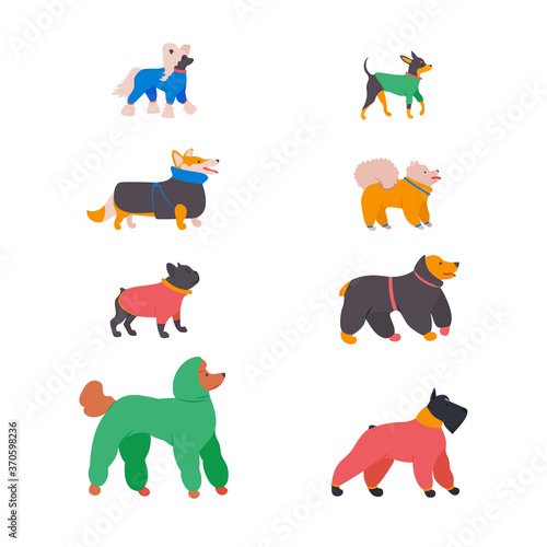 Set flat style icons of Pet in overalls. Dogs accessories.