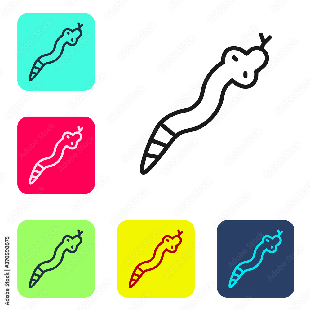 Black line Snake icon isolated on white background. Set icons in color square buttons. Vector. Black line Snake icon isolated on white background. Set icons in color square buttons. Vector.