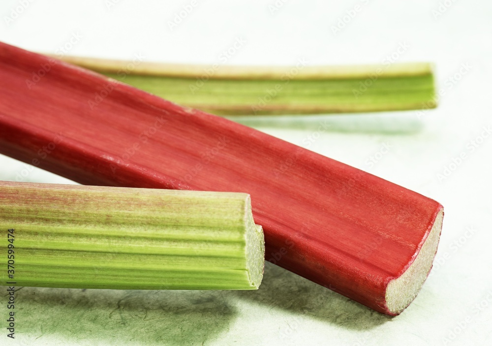 Rhubarb, rheum rhaponticum against White Background Rhubarb, rheum rhaponticum against White Background