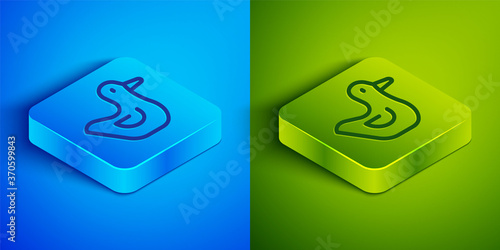 Isometric line Rubber duck icon isolated on blue and green background. Square button. Vector.
