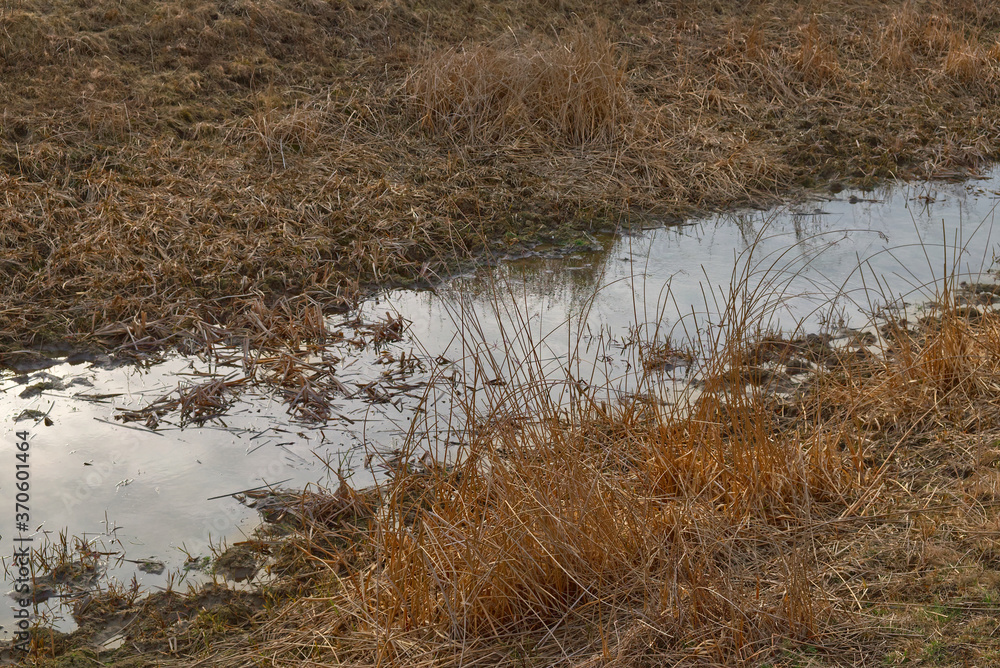 A small shallow stream among withered grasses. Wetlands. A small shallow stream among withered grasses. Wetlands.