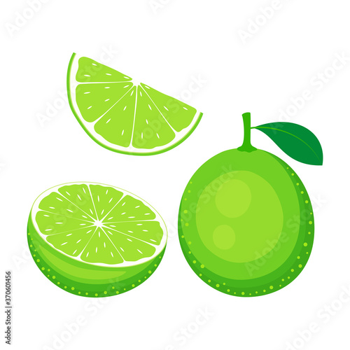 lime fruit set isolated on white, vector illustration
