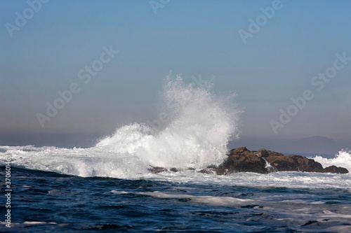 Wave on Rocks, Coast at Hermanus in South Africa
