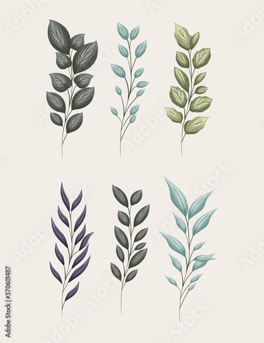 set of green leaves painting design of Natural floral nature and plant theme Vector illustration