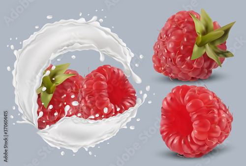 3D realistic raspberry in milk splash. Fresh red raspberry on transparent background. Milk cocktail. Organic berries.Vector illustration.