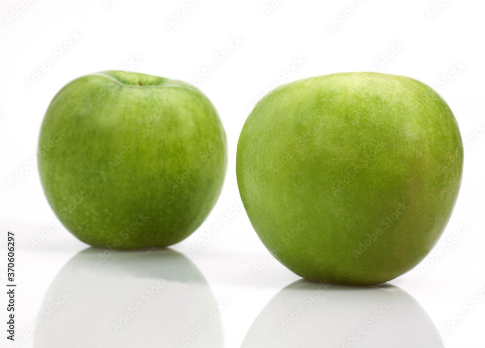 Granny Smith Apple, malus domestica, Fruits against White Background Granny Smith Apple, malus domestica, Fruits against White Background
