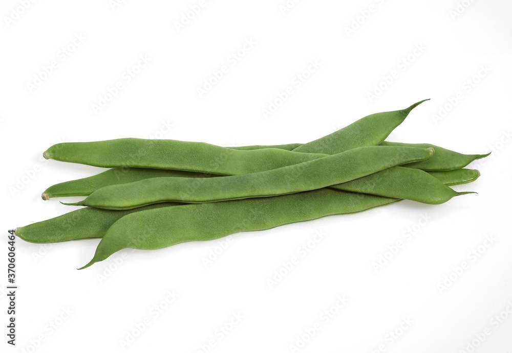 French Bean called Coco Plat, phaseolus vulgaris, Vegetable against White Background French Bean called Coco Plat, phaseolus vulgaris, Vegetable against White Background