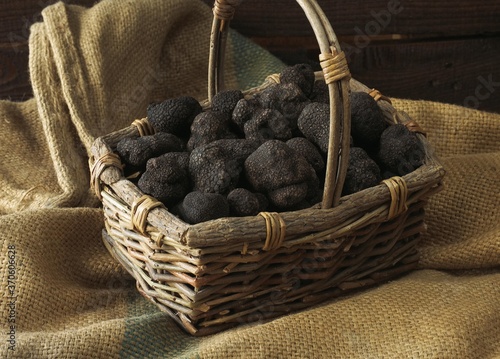 Tableau sur toile Perigord Truffle, tuber melanosporum, Mushrooms at Lalbenque Market in Lot, Fran