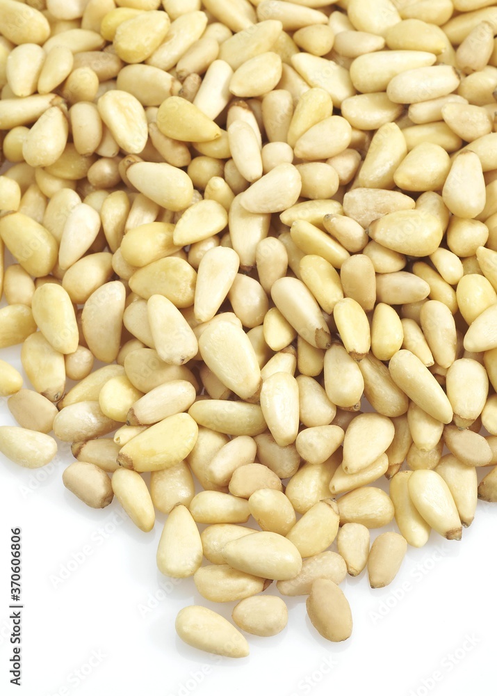 Pine Kernel or Pine Nut, pinus sp., Fruits against White Background Pine Kernel or Pine Nut, pinus sp., Fruits against White Background
