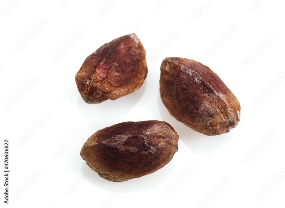 Pistachio Nuts, pistacia vera, Dry Fruits against White Background Pistachio Nuts, pistacia vera, Dry Fruits against White Background