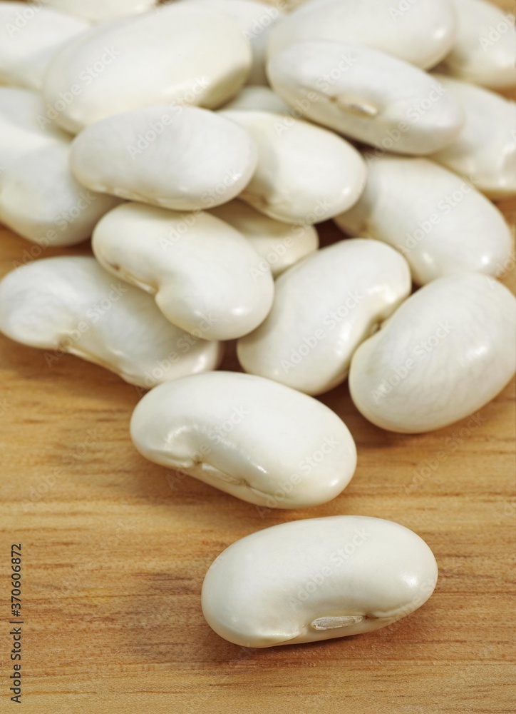 French Beans called Soissons Beans, phaseolus vulgaris French Beans called Soissons Beans, phaseolus vulgaris