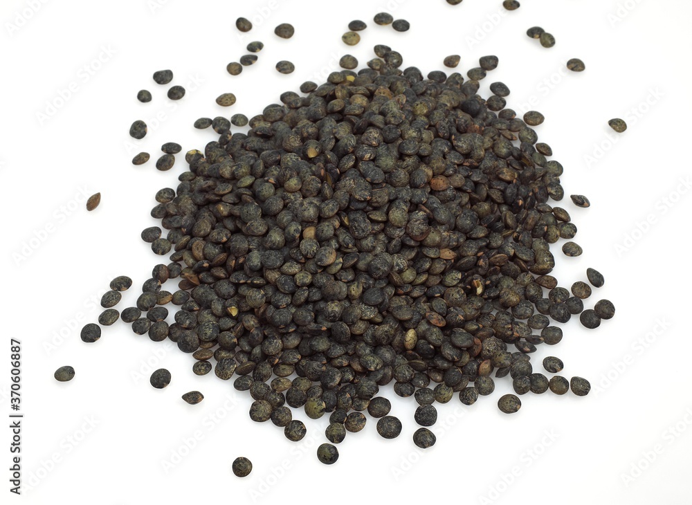 French Lentils called Green Puy Lentils, lens esculenta against White Background French Lentils called Green Puy Lentils, lens esculenta against White Background
