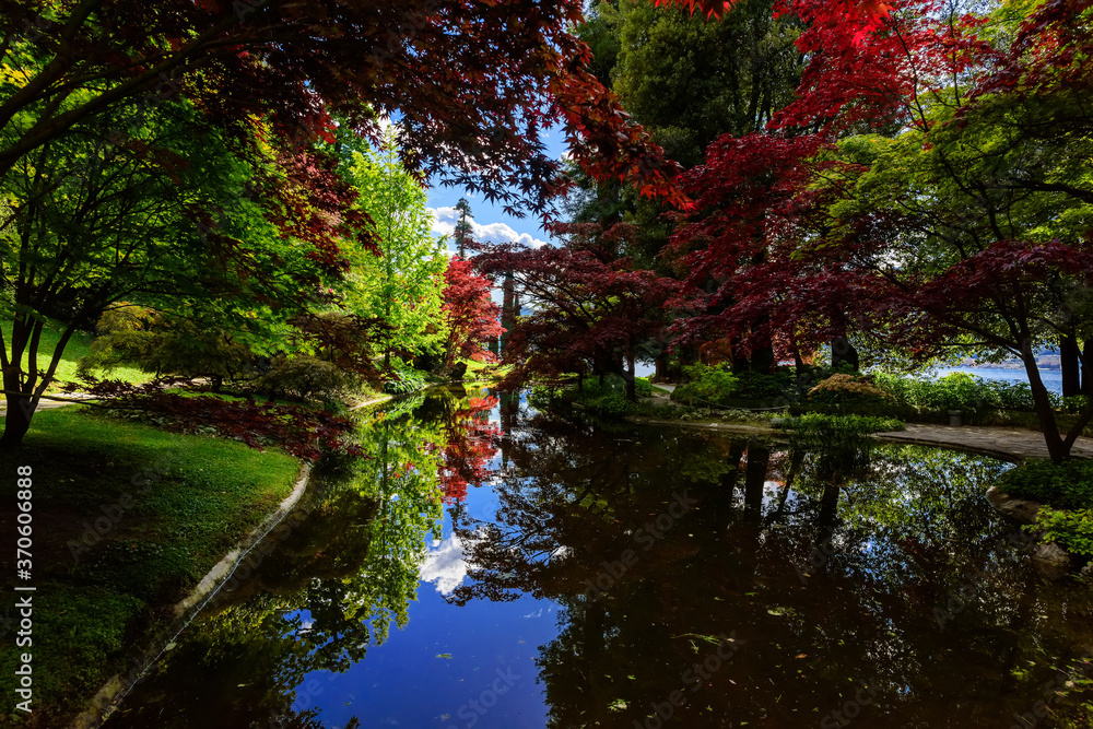 Reflection of colorful plants and the sky in the pond