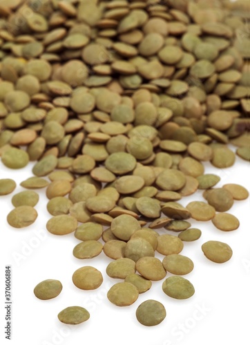 French Lentils called Saint Flour Blond Lentils  lens esculenta against White Background