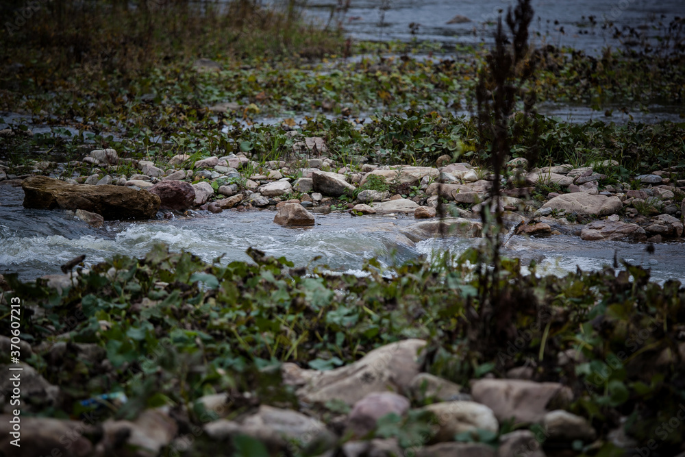 rapid flow of a mountain river with clear water among the trees in late autumn