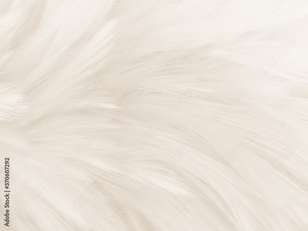 Obraz premium Beautiful abstract gray and white feathers on white background, soft brown feather texture on white pattern background, yellow feather background