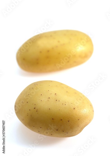 Mona Lisa Potato, solanum tuberosum, Vegetable against White Background