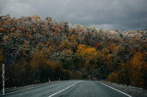 asphalt road in the mountains in late autumn, golden forest covered by the first snow, cloudy sky