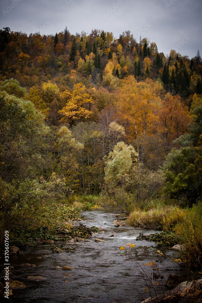 rapid flow of a mountain river with clear water among the trees in late autumn