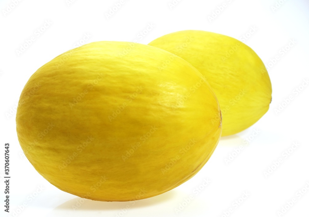 Yellow Spanish Melon, cucumis melo, Fruits against White Background Yellow Spanish Melon, cucumis melo, Fruits against White Background
