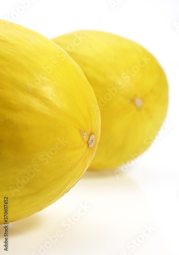 Yellow Spanish Melon, cucumis melo, Fruits against White Background