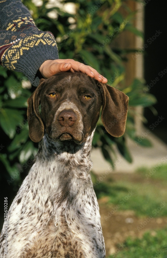 Man Caressing his Dog Man Caressing his Dog